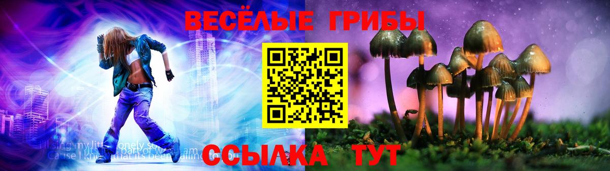 Галлюциногенные грибы GOLDEN TEACHER Алексеевка