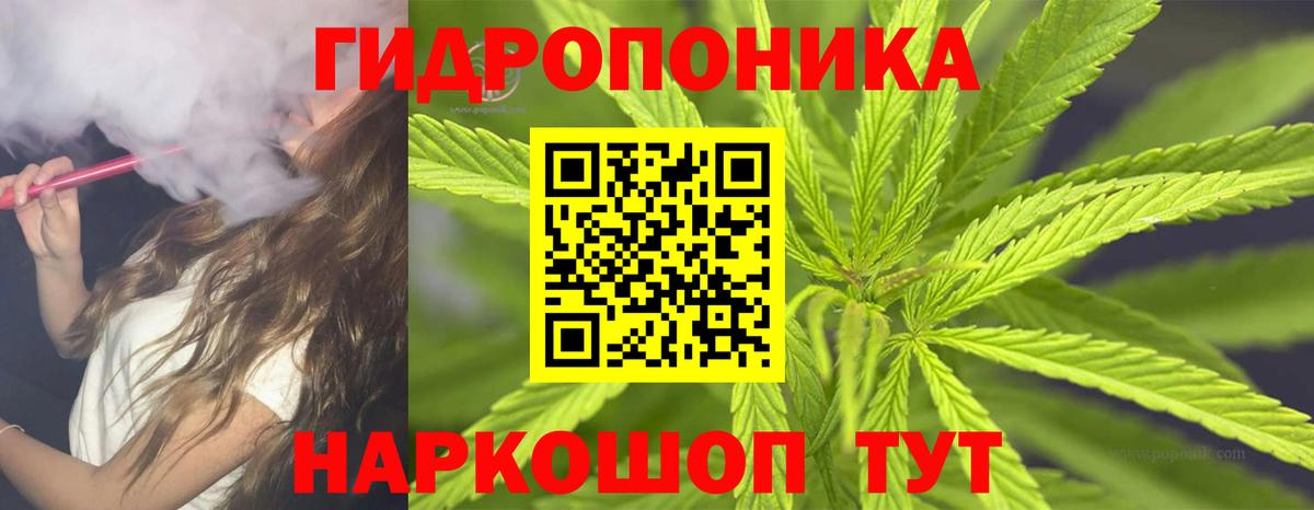 МАРИХУАНА THC 21%  Канабис Bruce Banner  Вход с VPN  Каннабис семена  Бошки марихуана марихуана  Алексеевка 