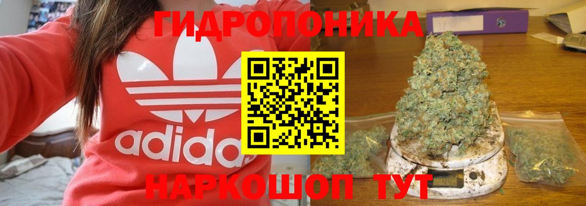 Конопля семена Алексеевка